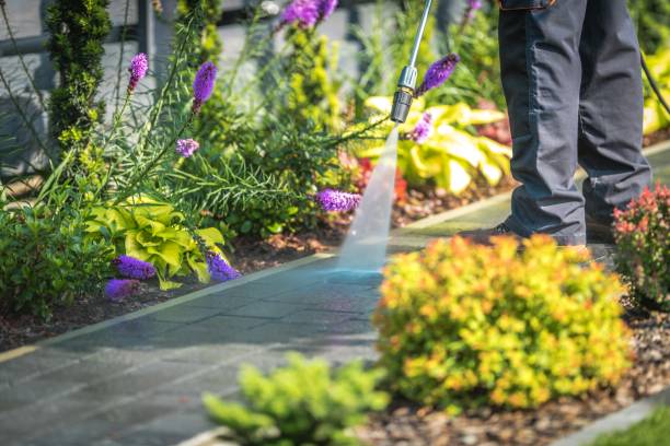 Best Fence Cleaning  in Pasadena, CA