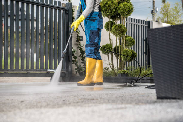 Best Driveway Pressure Washing  in Pasadena, CA